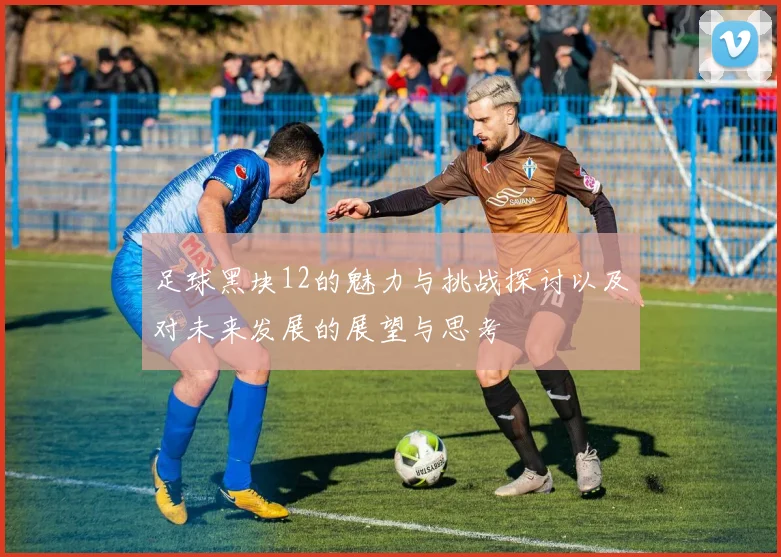 足球黑块12的魅力与挑战探讨以及对未来发展的展望与思考
